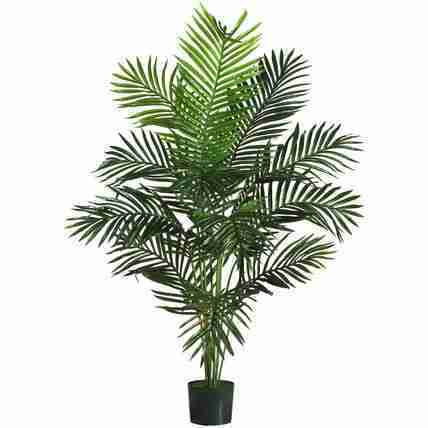 Floral, Plants, Trees & Supplies