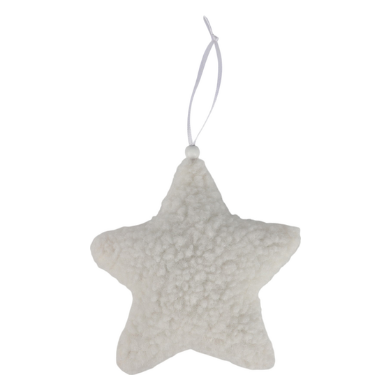 Xd881 Star Ornament | Rental