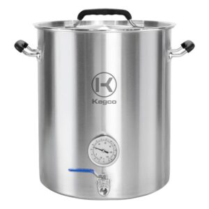 Kegco 20 Gallon Brew Kettle - AZXBK20
