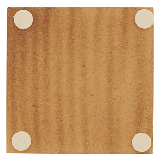 Co113 Bone Coaster – Set of 4 | Rental